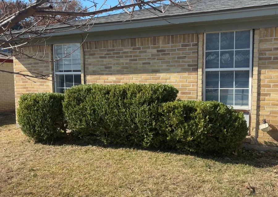 Boxwood hedges trimmed square and level against a brick home in Saginaw, TX