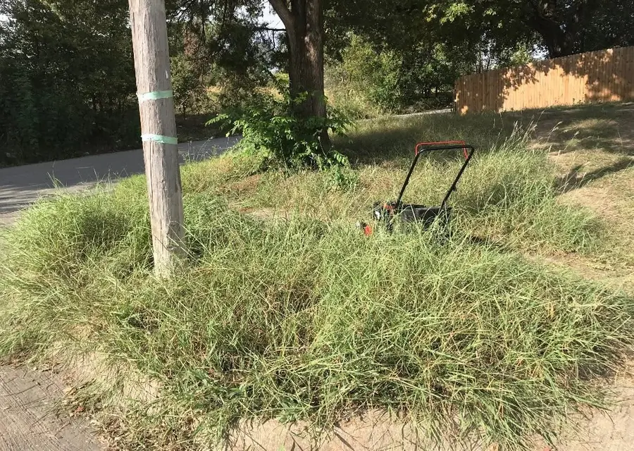 Knee-high grass swallowing a mower before an overgrown cleanup in Fort Worth, TX
