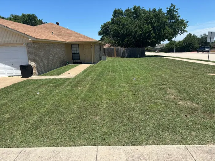 Mowed front lawn with mowing stripes in Saginaw, TX