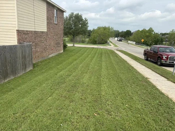 Wide grass verge freshly mown with visible mowing lines beside a street