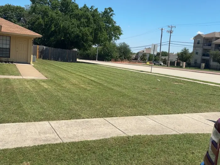 Large mowed lawn beside a Fort Worth street