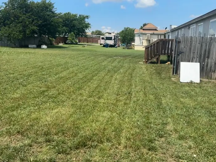 Back yard mown in stripes with the trash bins pulled clear of the grass
