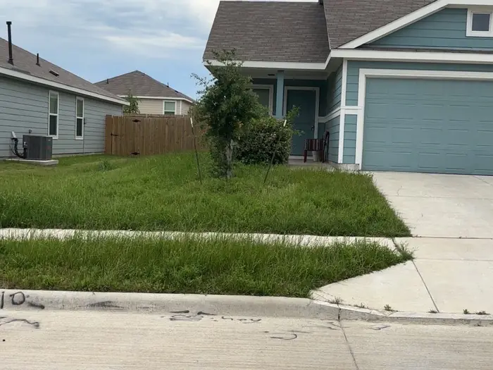 Sidewalk edged and lawn mown along a suburban front yard