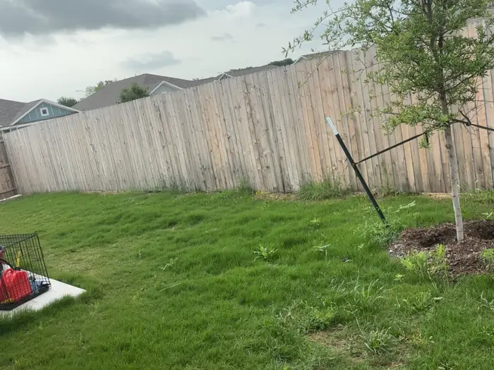 Fenced back yard cut short with the mower still on site