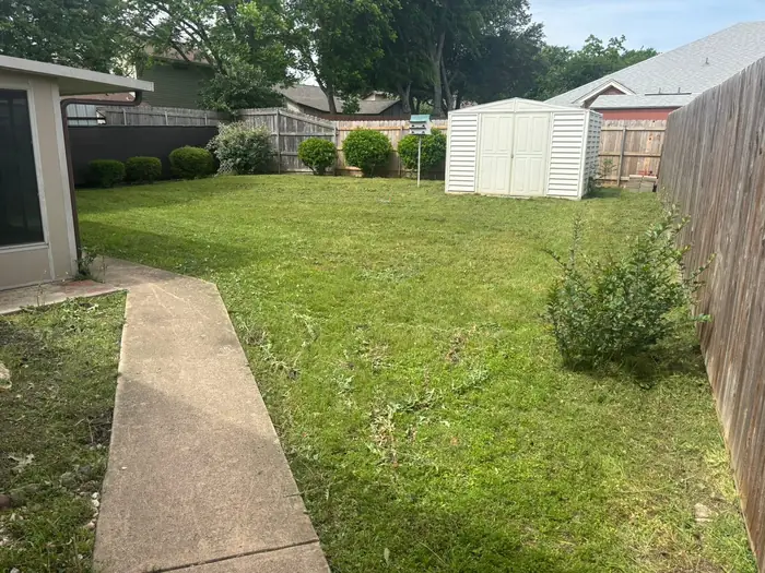 Back yard with a garden shed, mowed and trimmed around the edges