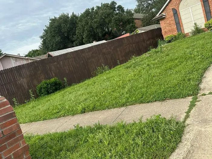 Lawn mown up to a brick boundary wall with the path edged