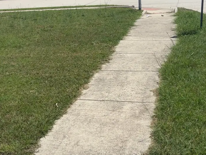 Grass verge outside an apartment block mowed and edged