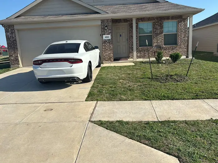 Front yard mowed around a young tree and a parked car