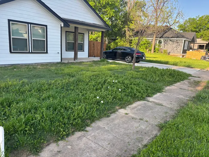 Front lawn and paved walkway tidied at a white weatherboard house