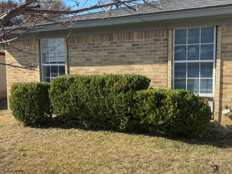 Boxwood hedge trimmed square and level along the front of a brick home